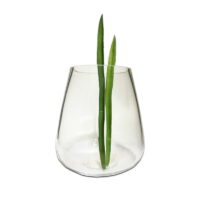 Florero de Vidrio Cerrado 18cm