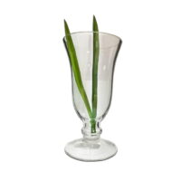 Florero Copon de Vidrio 24cm