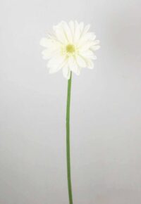 Flor Gerbera Blanca Aritificial