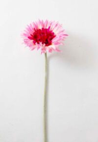 Flor Margarita Gerbera Rosa Aritificial