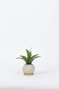 Maceta de planta artificial cerámica