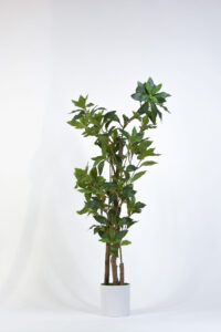 Planta artificial Pieris japonica Height 90cm